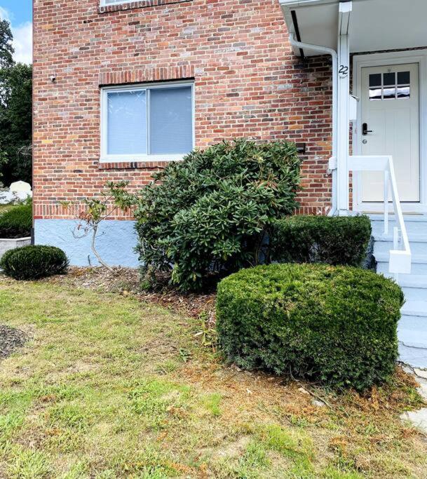 Cozy Boston Getaway Apartment! Free Parking Luaran gambar