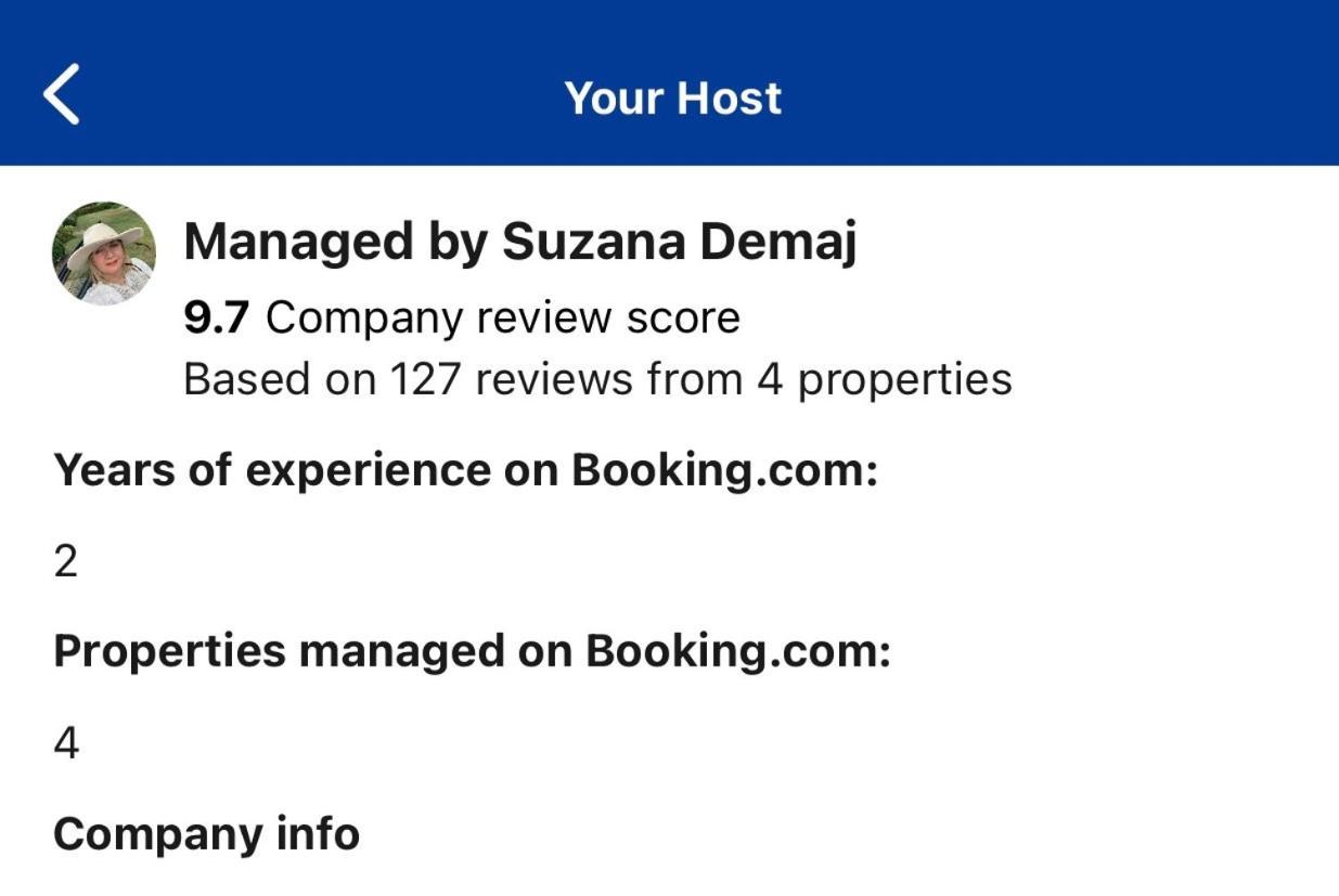 Cozy Boston Getaway Apartment! Free Parking Luaran gambar